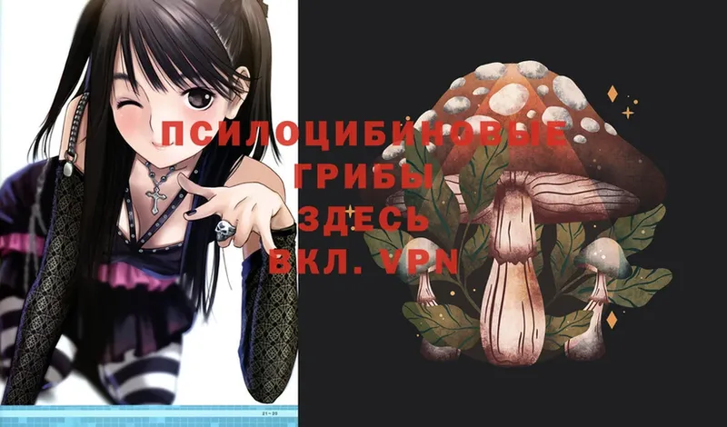 Псилоцибиновые грибы Magic Shrooms  Курлово 